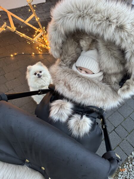 Winter set for stroller, muff and fur collar for the canopy - black and bright long fur - CAPPUCCNIO FUR