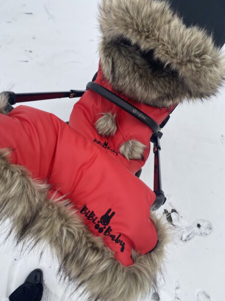 Winter Set For Stroller, Muff And Fur Collar For The Canopy – RED And Long Fur – LILKA FUR